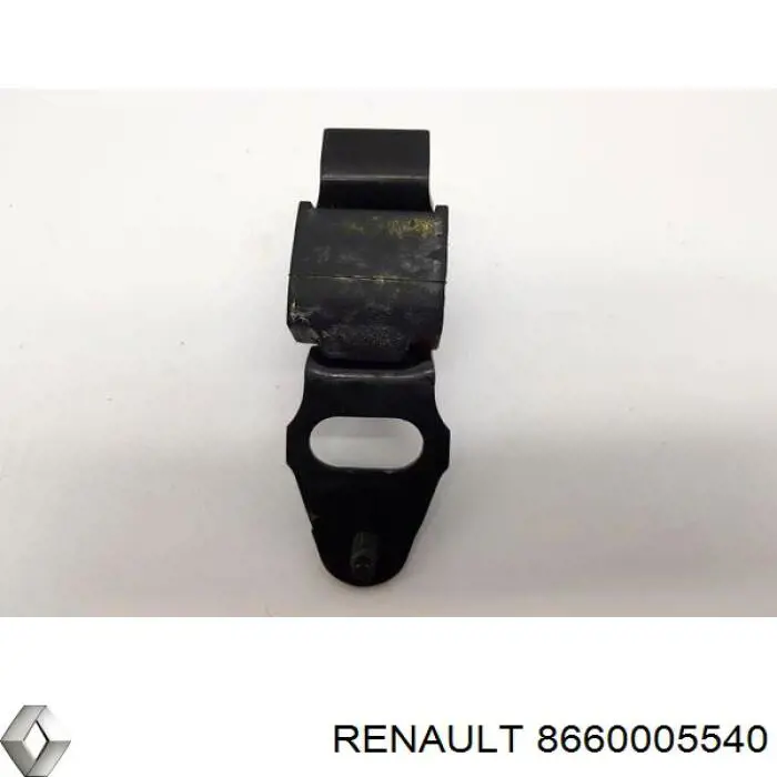Купить 8660005540 Renault (RVI) Амортизационная стойка