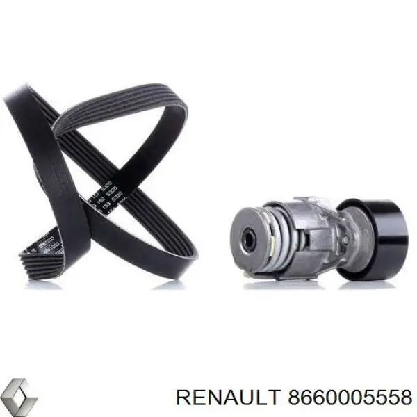 Роликовий модуль натяжителя ремня Renault (RVI) 8660005558 цена, от 39.63 USD