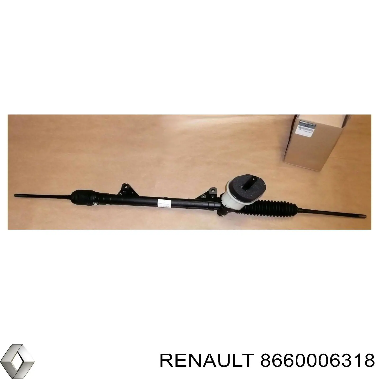  Renault (RVI) 8660006318