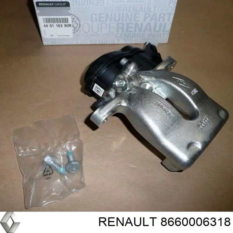 8660006318 Renault (RVI) 