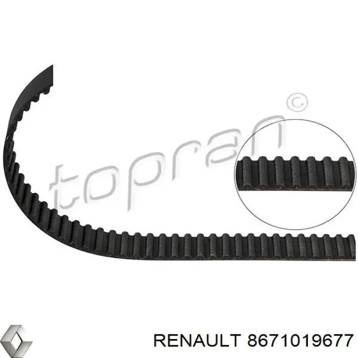 Correa distribucion 8671019677 Renault (RVI)