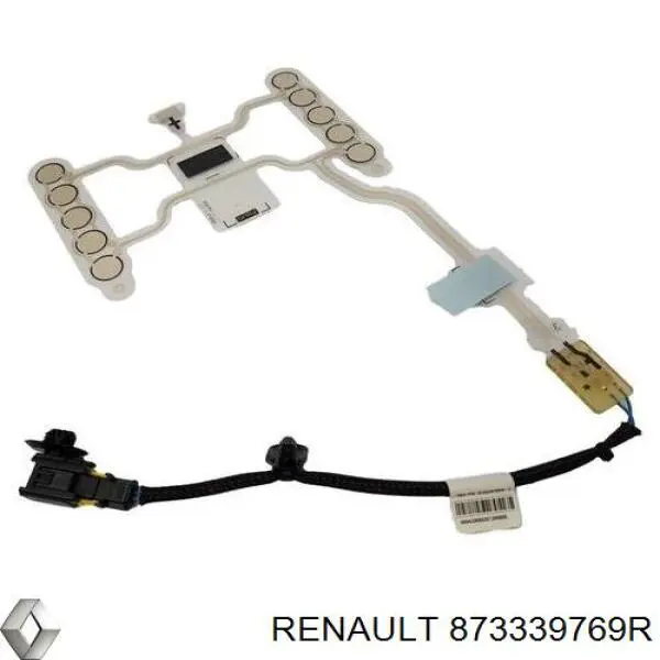 873339769R Renault (RVI) 