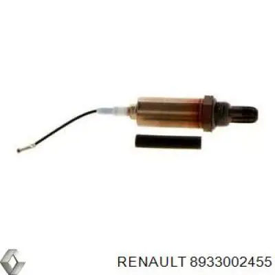  8933002455 Renault (RVI)