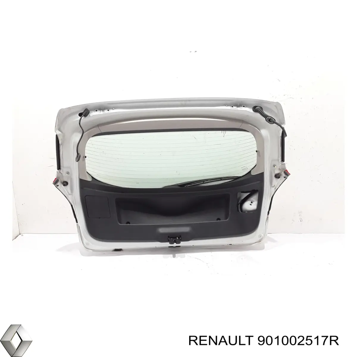 901002517R Renault (RVI) Задняя дверь
