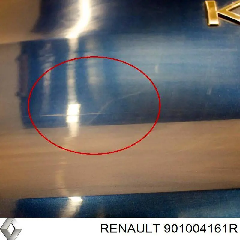 Задняя ляда Renault (RVI) 901004161R