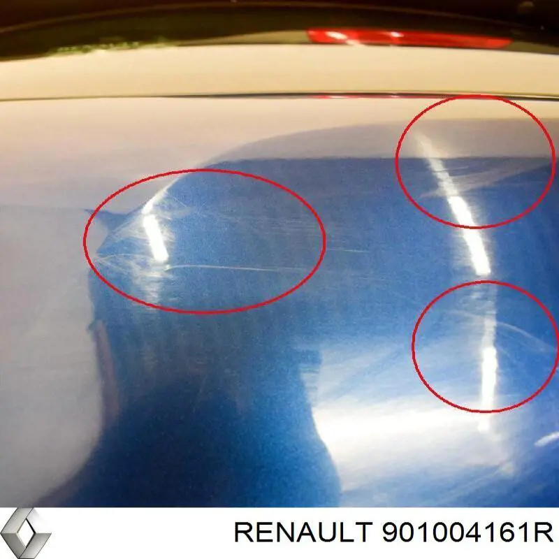 901004161R Renault (RVI) Задняя дверь