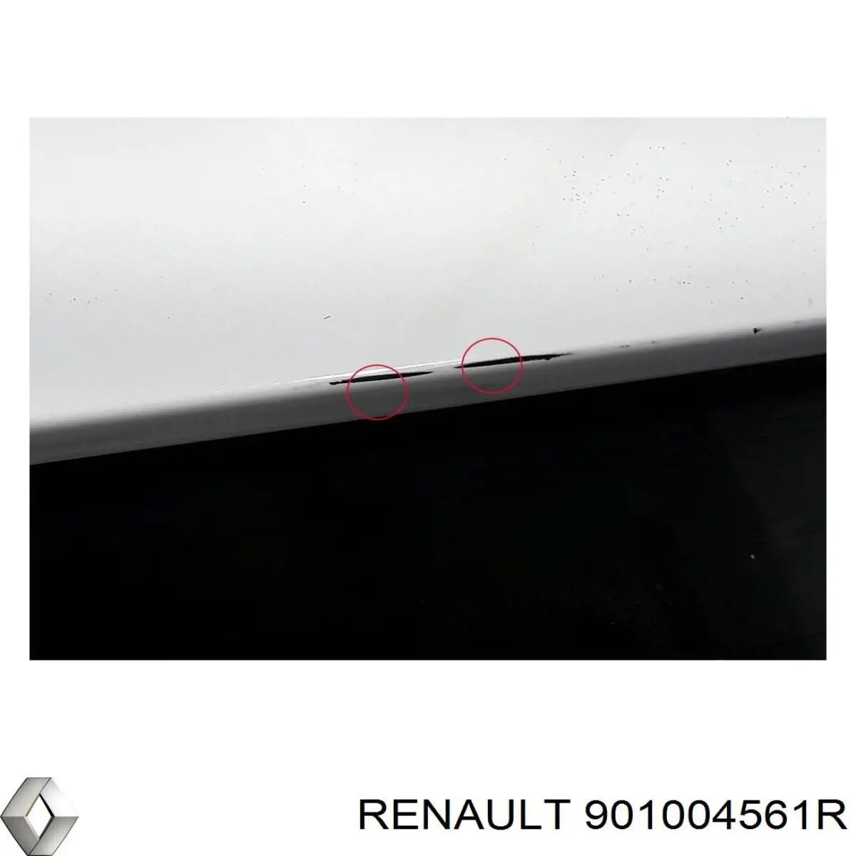 Купить 901004561R Renault (RVI) Дверь задняя багажная