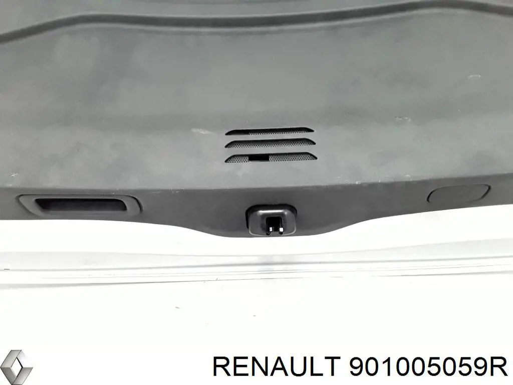 901005059R Renault (RVI) 