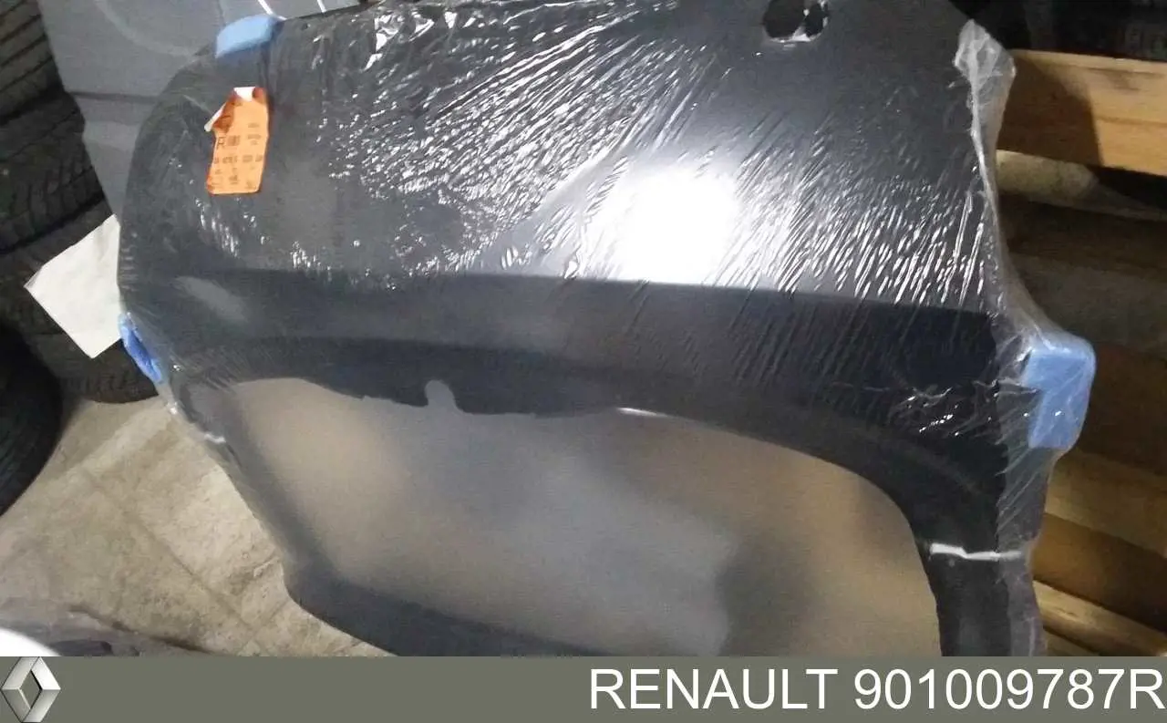 901009787R Renault (RVI) дверь задняя (багажная 3/5-я (ляда)