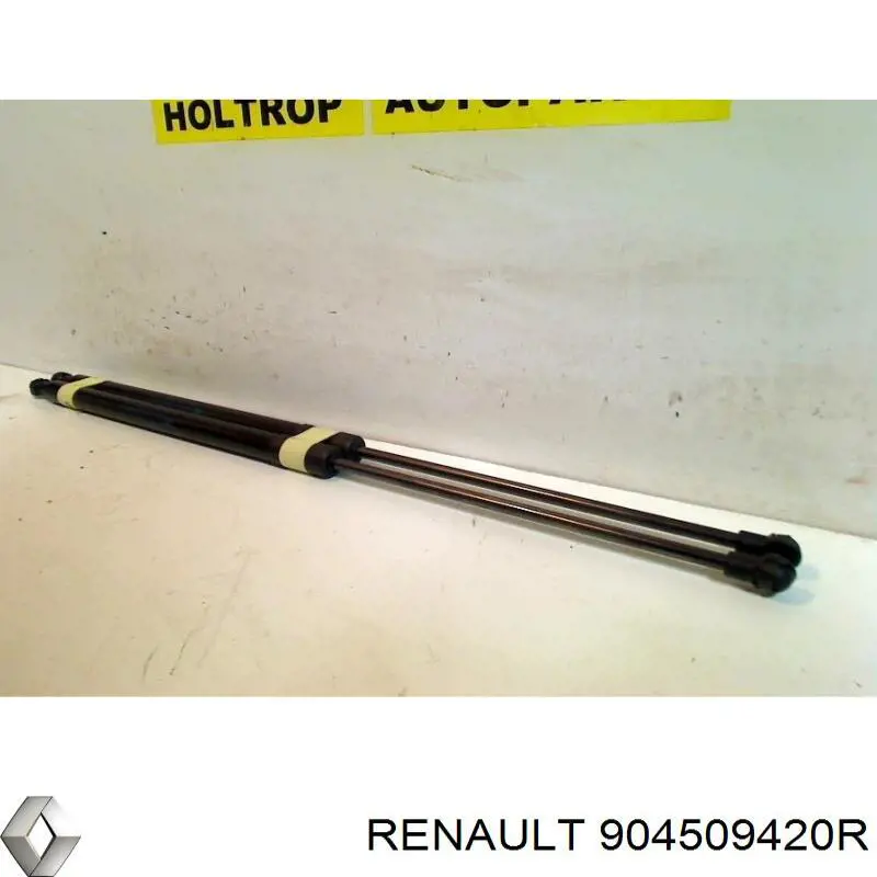  Renault (RVI) 904509420R цена, от 18.60 USD