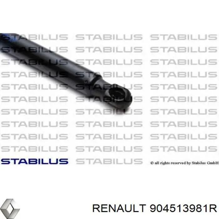 Амортизатор кришки багажника/ двері 3/5-ї задньої 904513981R Renault (RVI)
