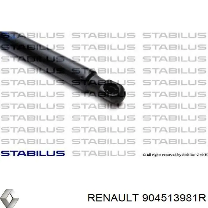 904513981R Renault (RVI)