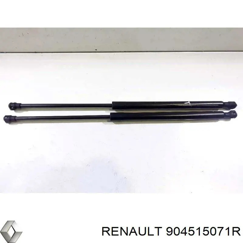 904515071R Renault (RVI) 