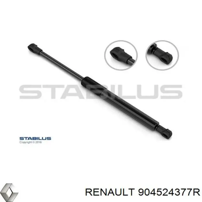 904524377R Renault (RVI) 