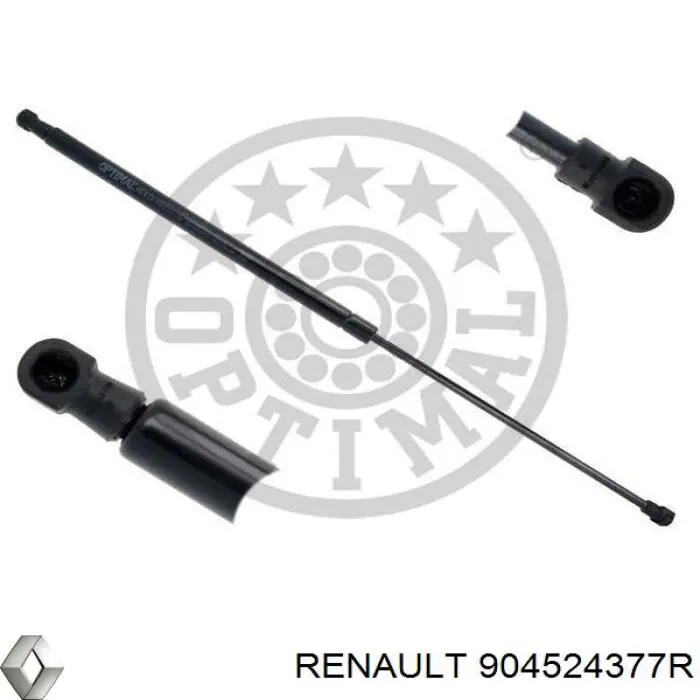 904524377R Renault (RVI) 