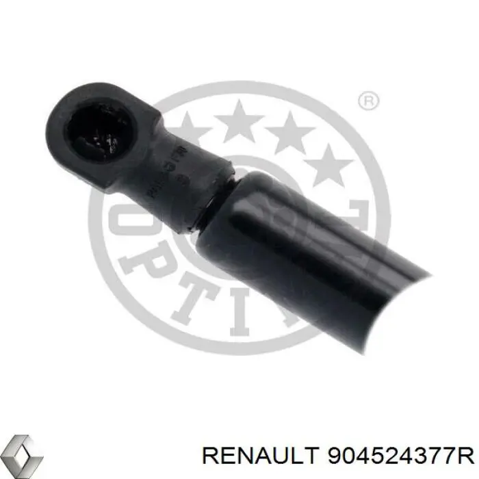  Renault (RVI) 904524377R цена, от 133.90 USD