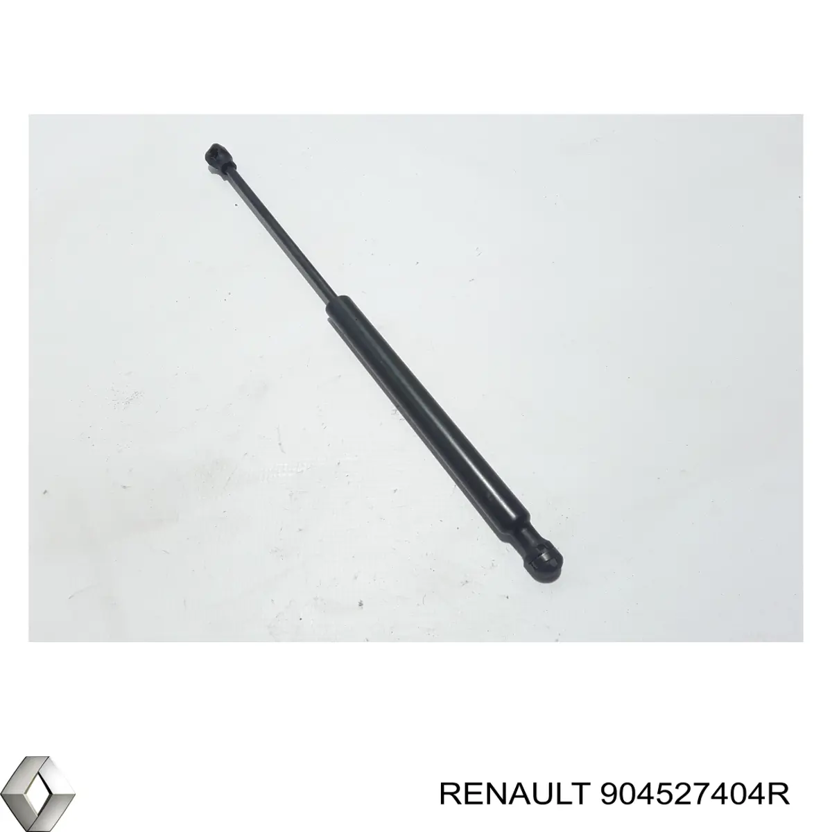 904527404R Renault (RVI) 