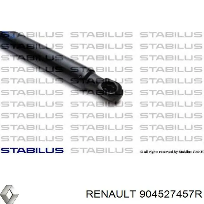 904527457R Renault (RVI)