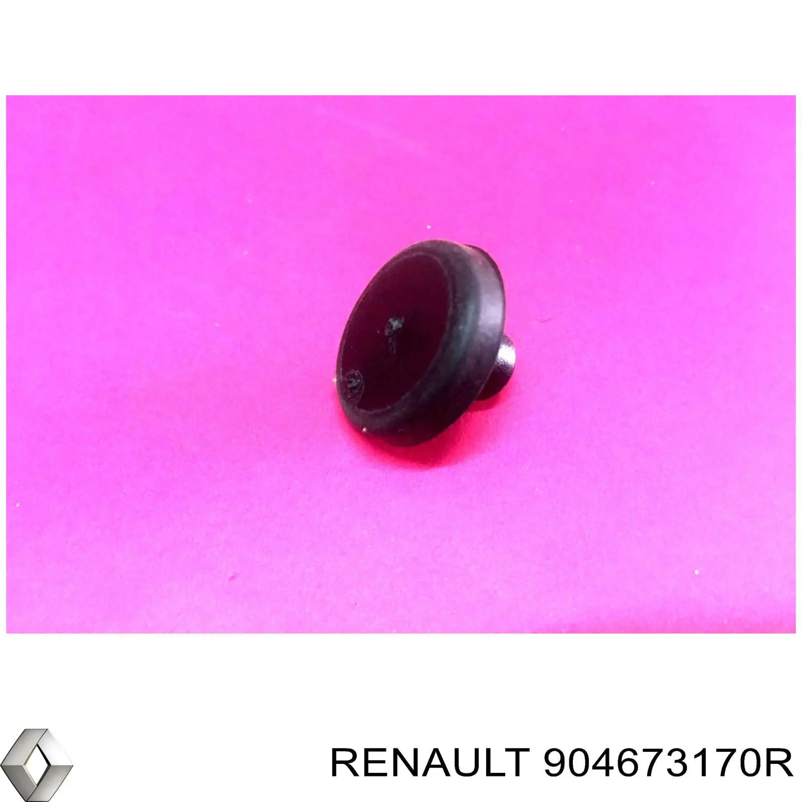  Renault (RVI) 904673170R цена, от 2.86 USD