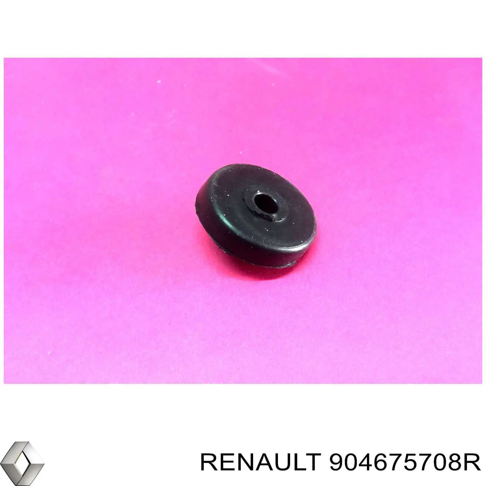 904675708R Renault (RVI) 