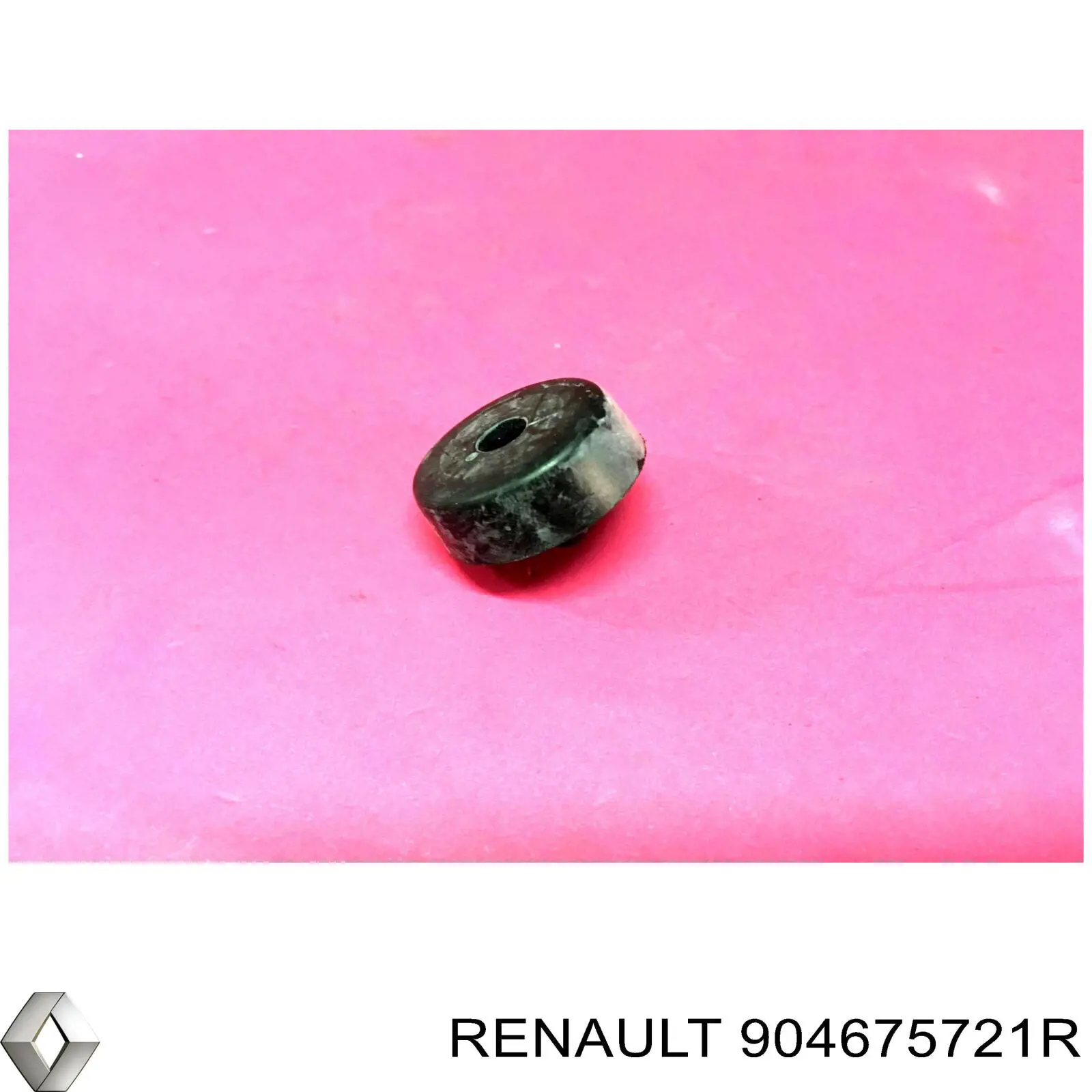 904675721R Renault (RVI) 