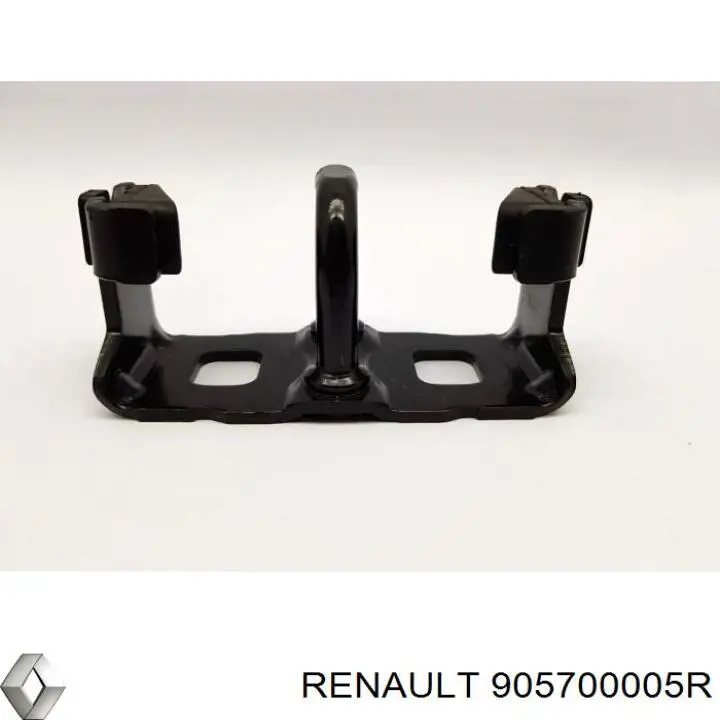 905700005R Renault (RVI)