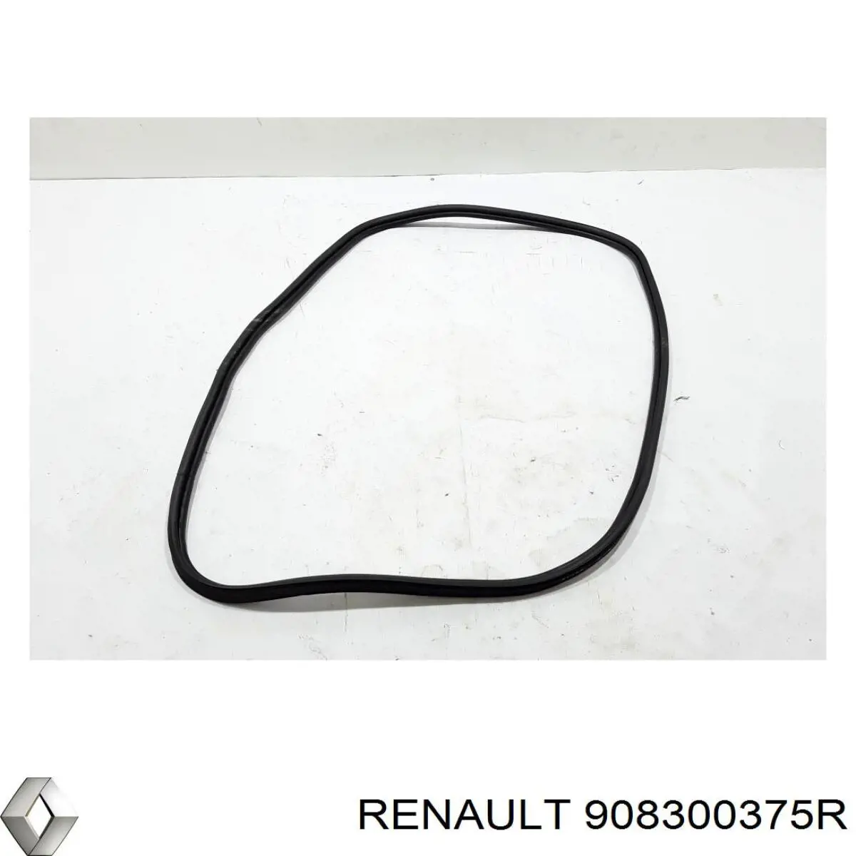 908300375R Renault (RVI) 