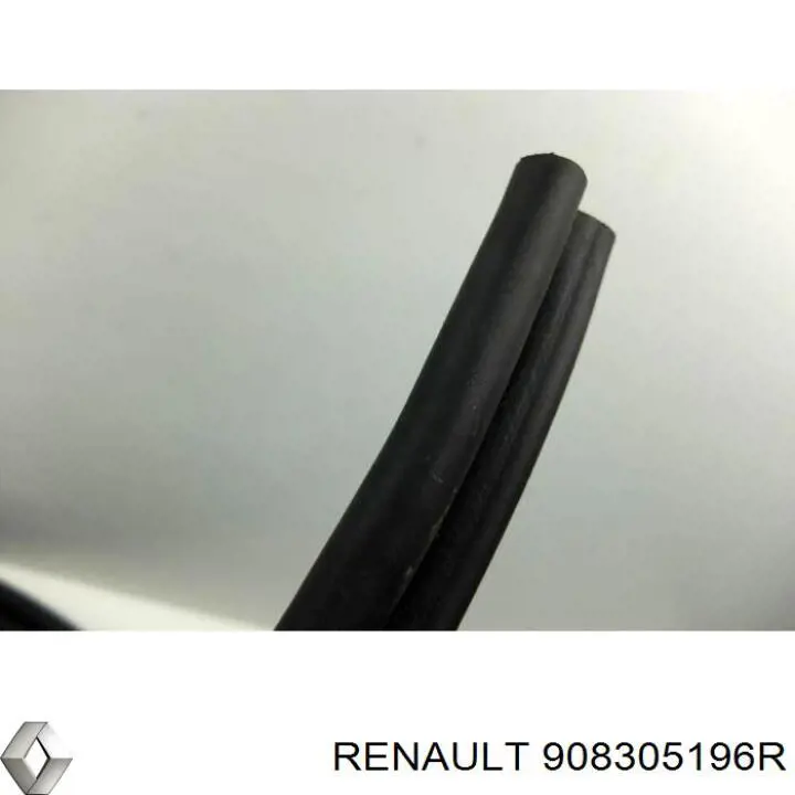 908305196R Renault (RVI) 