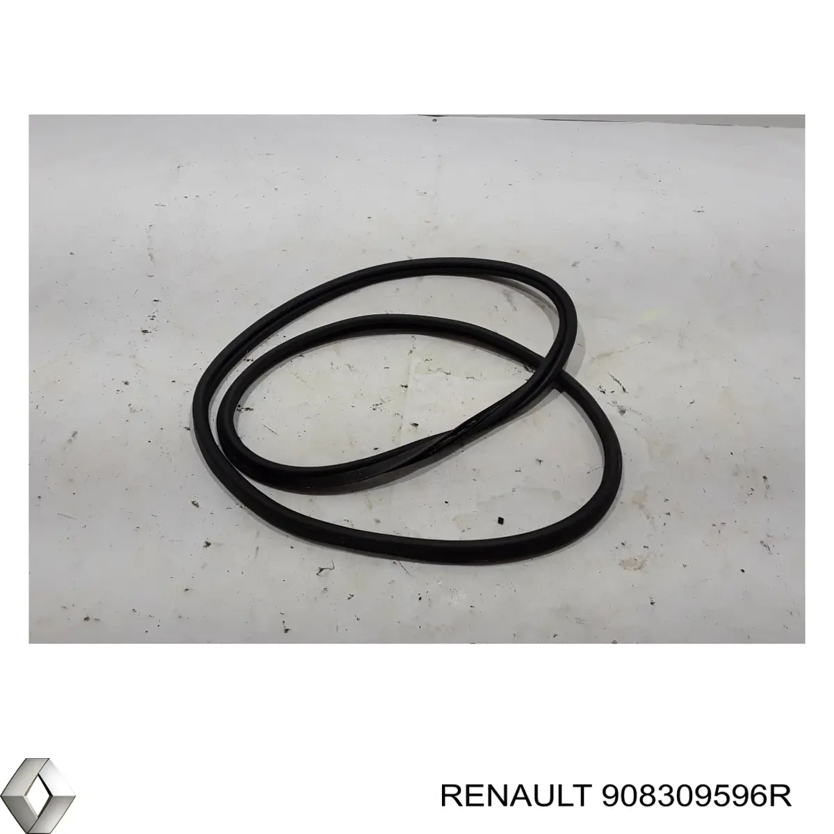 908309596R Renault (RVI) 