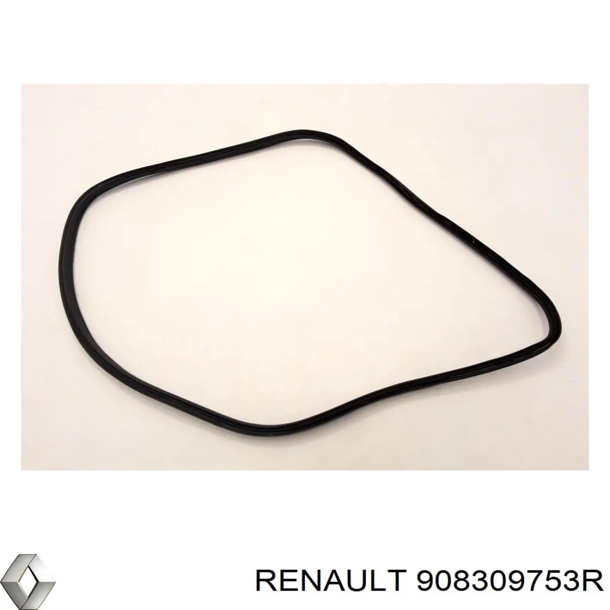 908309753R Renault (RVI) 