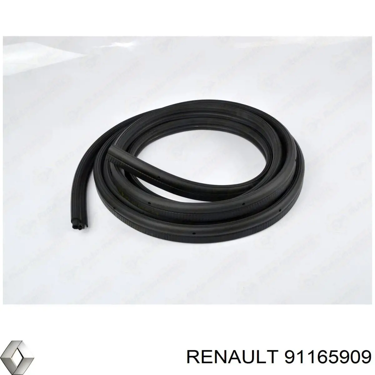 91165909 Renault (RVI)