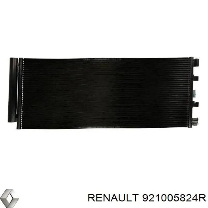 921005824R Renault (RVI)