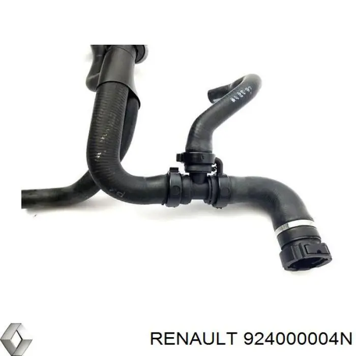  Renault (RVI) 924000004N