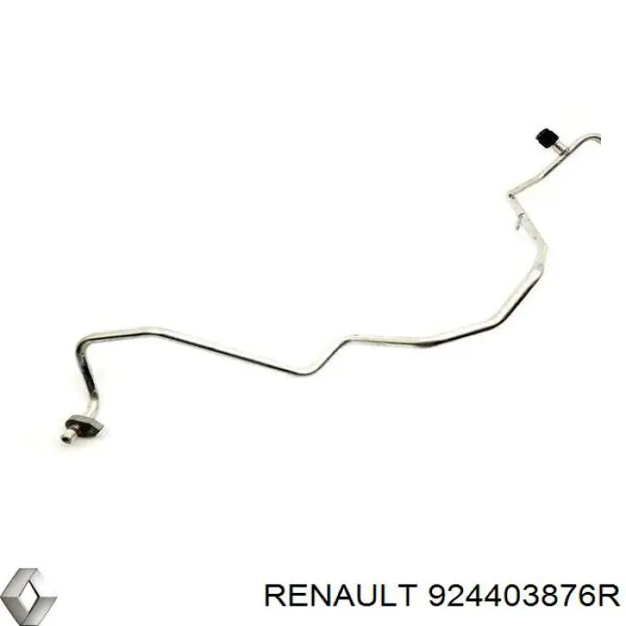 924403876R Renault (RVI)