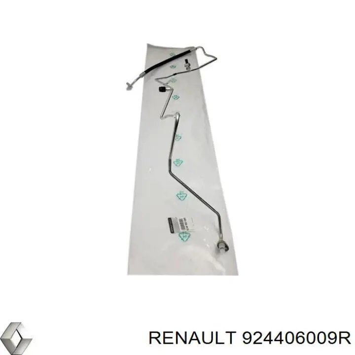924406009R Renault (RVI) 