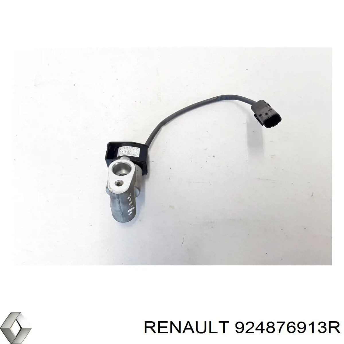  924876913R Renault (RVI)