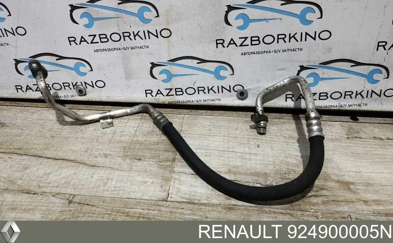924900005N Renault (RVI) 