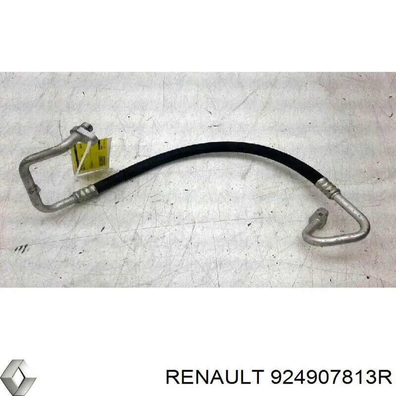 924907813R Renault (RVI) 