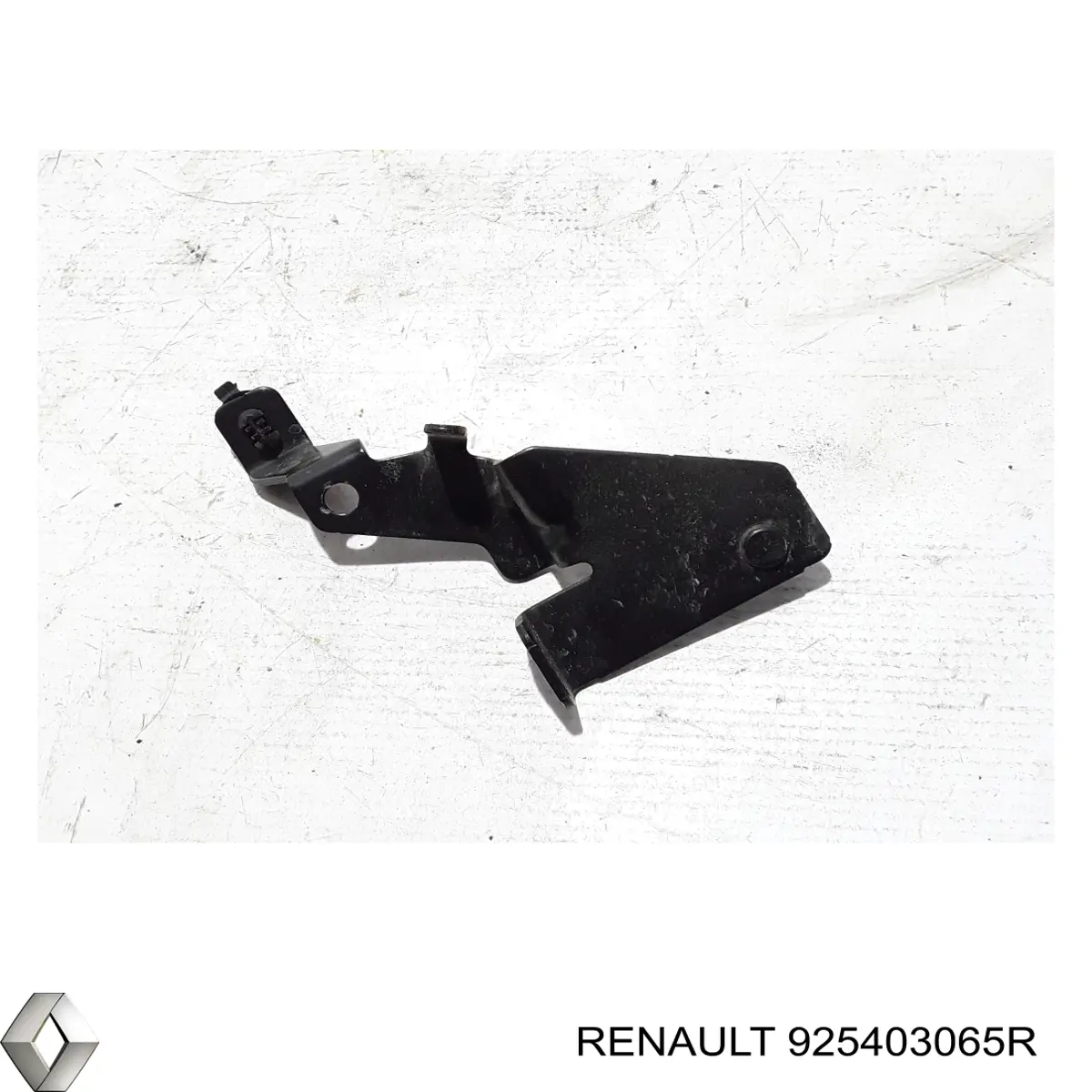 925403065R Renault (RVI) 