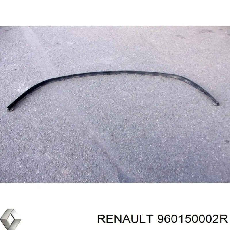 Спойлер переднего бампера Renault (RVI) 960150002R цена, от 54.27 USD