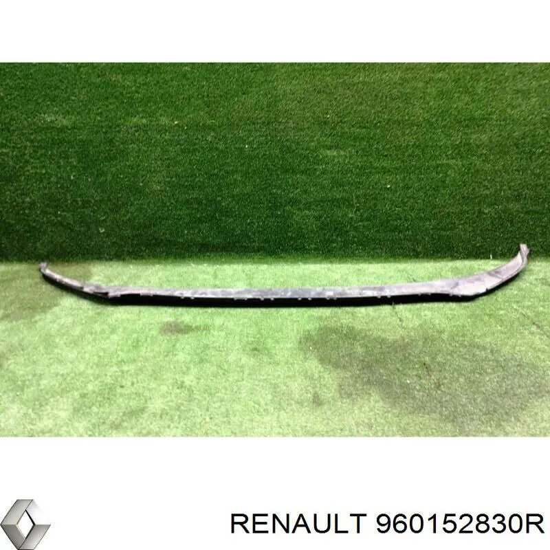  960152830R Renault (RVI)