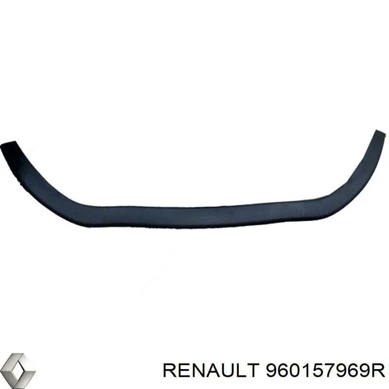 Спойлер переднего бампера Renault (RVI) 960157969R цена, от 24.38 USD