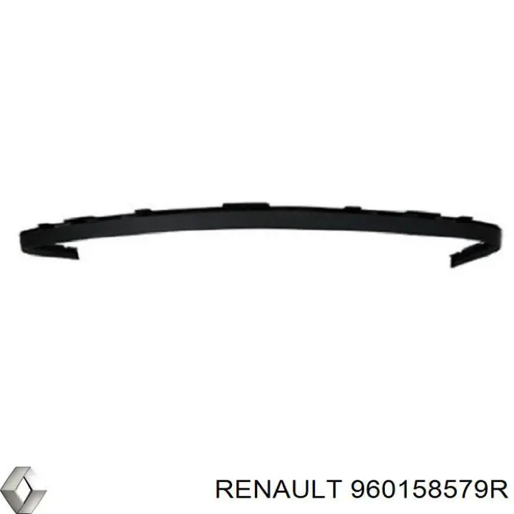 960158579R Renault (RVI) 