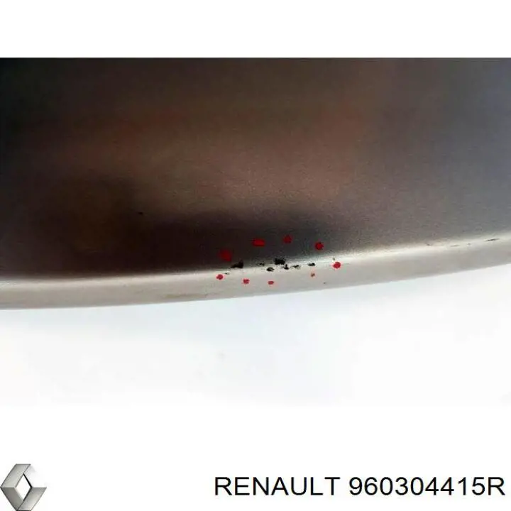 Спойлер багажника (двери 3/5-й задней) 960304415R Renault (RVI)