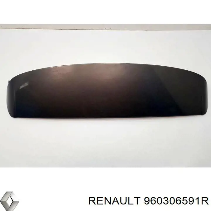  960306591R Renault (RVI)