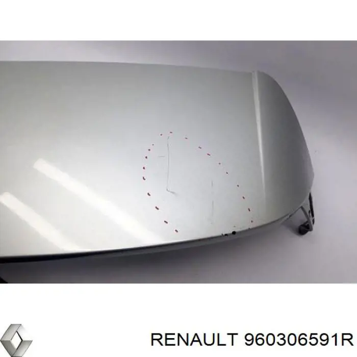Купить 960306591R Renault (RVI) 