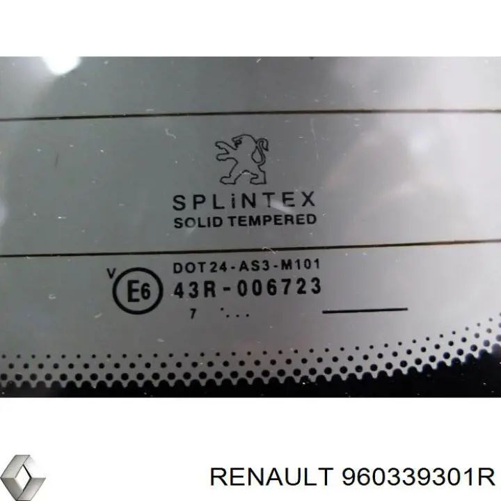 960339301R Renault (RVI) 