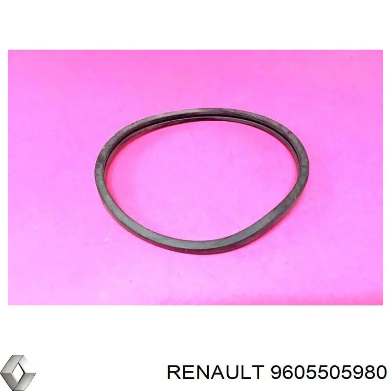 9605505980 Renault (RVI) vedante de termostato