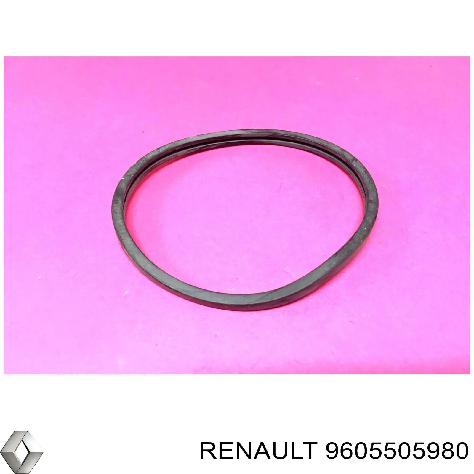 9605505980 Renault (RVI)