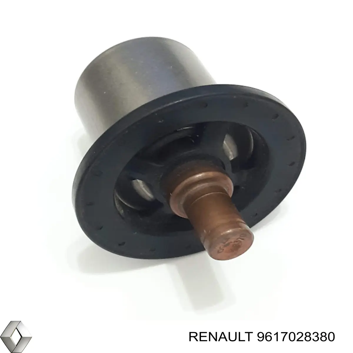 9617028380 Renault (RVI) термостат